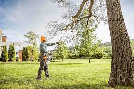 Professional Tree Care Services in Gonzales, TX