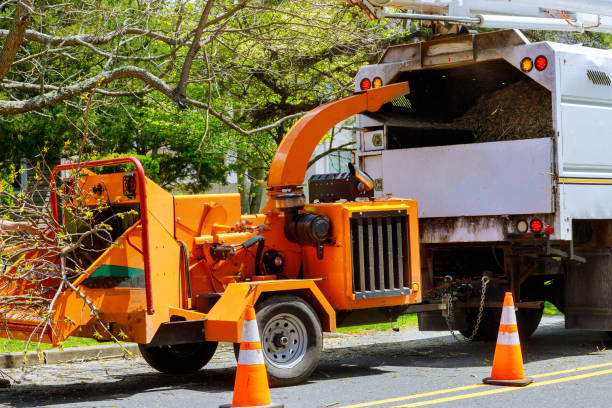 Best Arborist Consultation Services  in Gonzales, TX